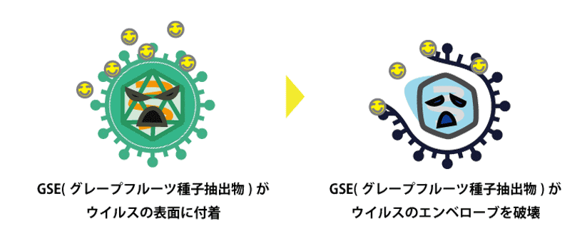除菌メカニズム